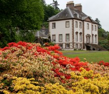 Visit Glendoick Gardens near Perth Scotland