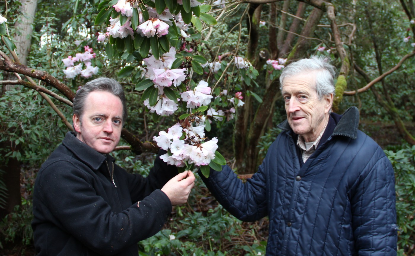 peter & kenneth cox with rhododendron
