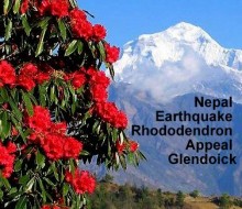 Nepal Earthquake Appeal