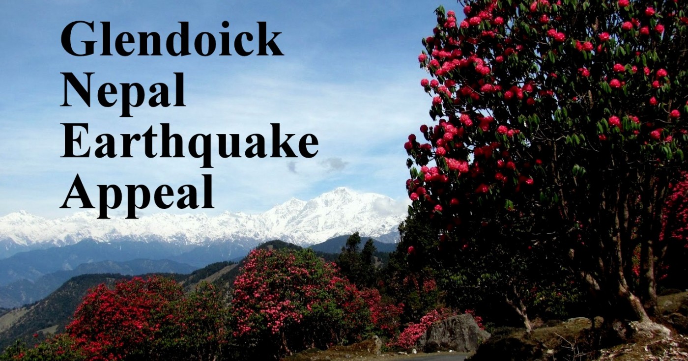 Buy Rhododenrons for Nepal earthquake appeal