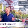 Glendoick Azaleas Video
