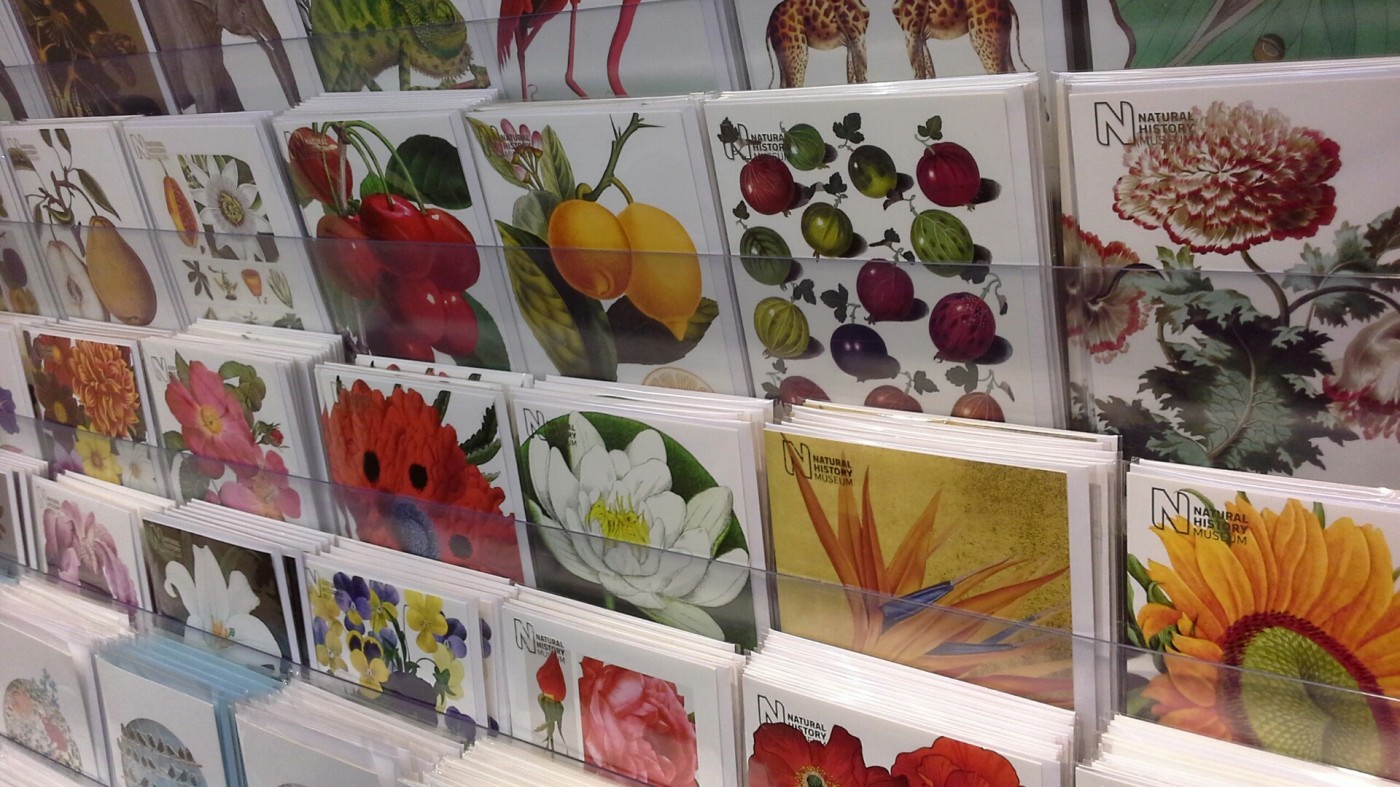 Flower painting greeting cards