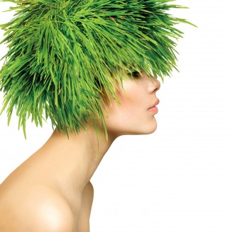 lawn grass hair model shutterstock_135459209