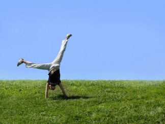 lawn lawn shutterstock_37420