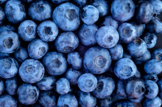 Fruit and Veg Blueberry shutterstock_108450557