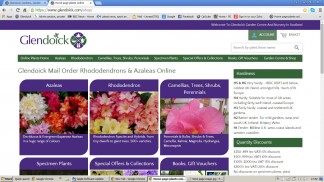 Fwd:  webshop Webshop image