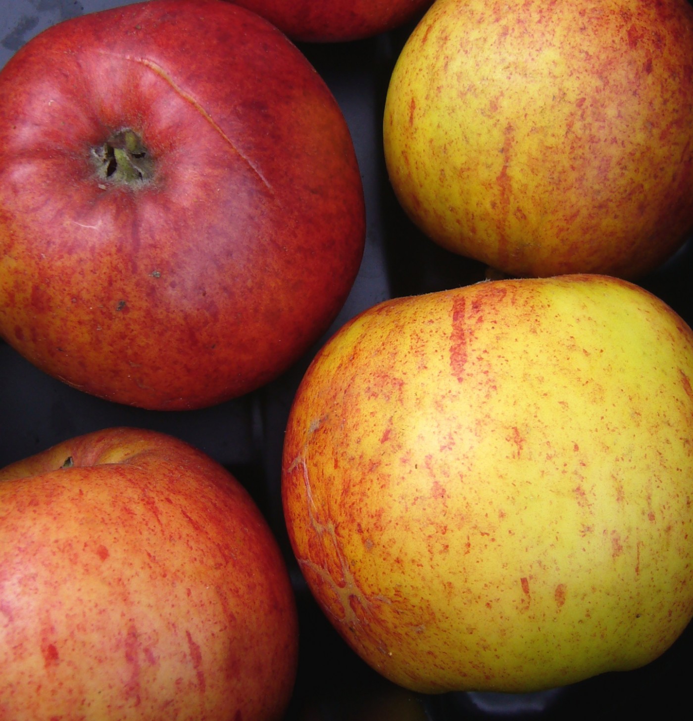 Fruit Apple James Grieve