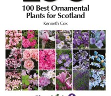 100 Best Ornamental Plants for SCotland