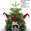Christmas Trees Glendoick