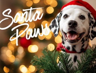 Santa Paws 
