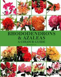 RHODODENDRONS  AZALEAS, A COLOUR GUIDE  Kenneth Cox